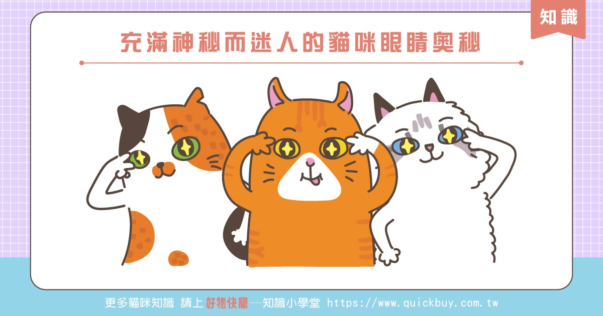 充滿神秘而迷人的貓咪眼睛奧秘