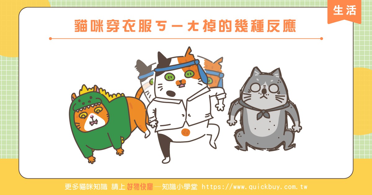 貓咪穿衣服ㄎㄧㄤ掉的幾種反應