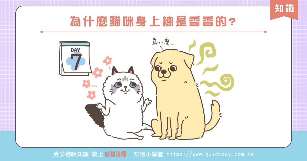 為什麼貓咪身上總是香香的?
