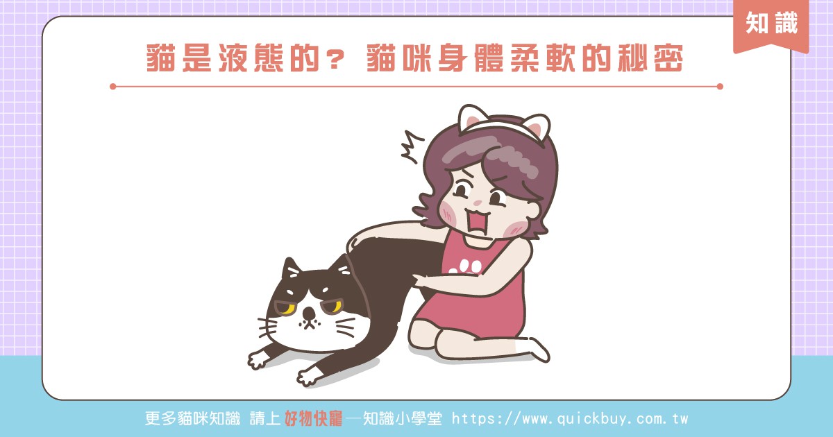 貓是液態的? 貓咪身體柔軟的秘密