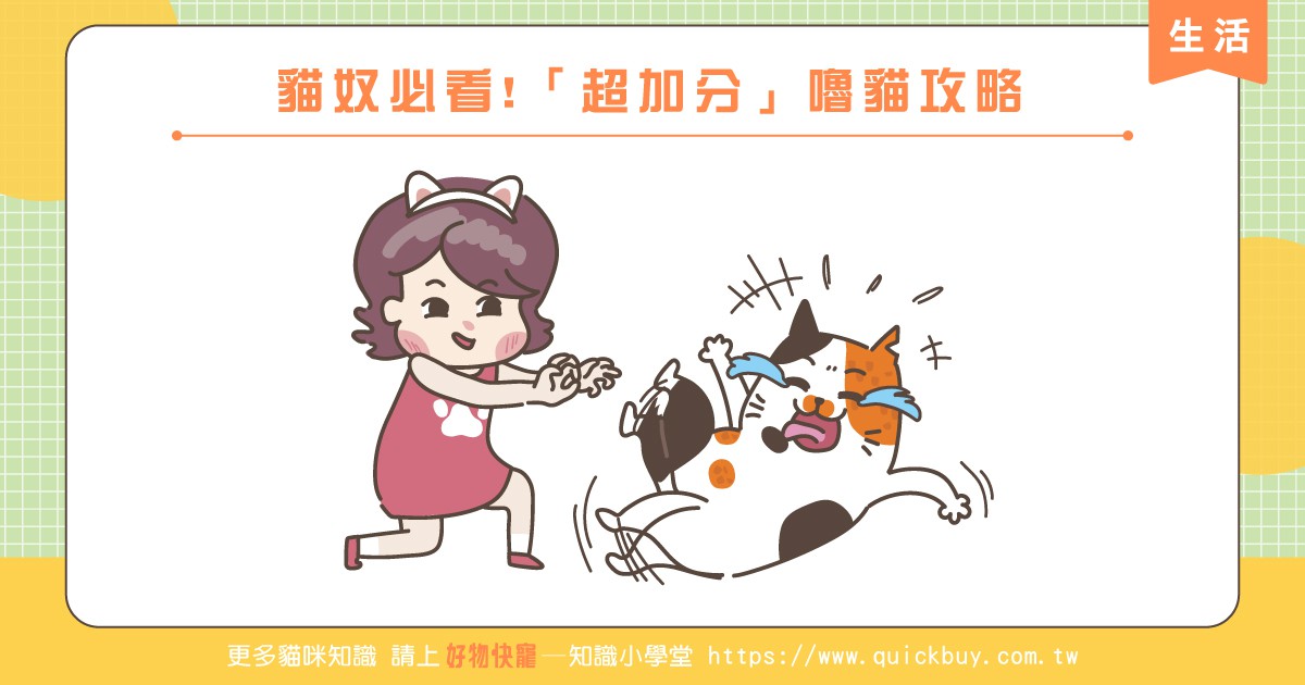 貓奴必看!「超加分」嚕貓攻略