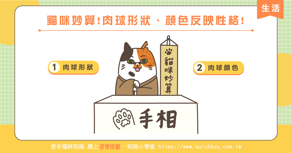 貓咪妙算!肉球形狀、顏色反映性格!