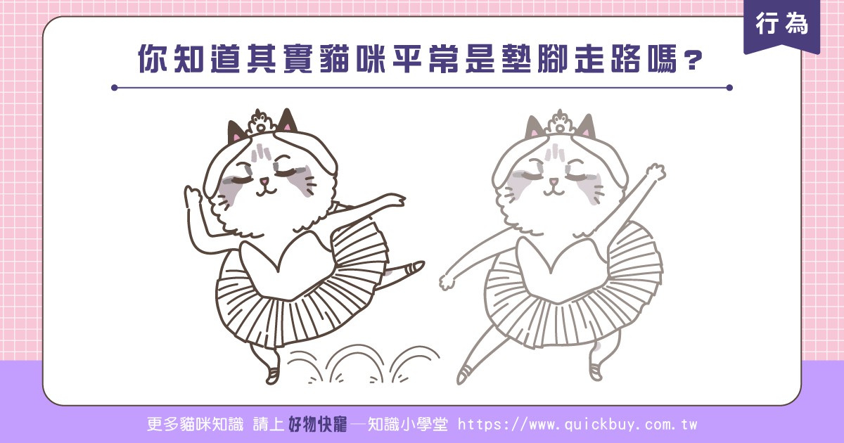 你知道其實貓咪平常是墊腳走路嗎?