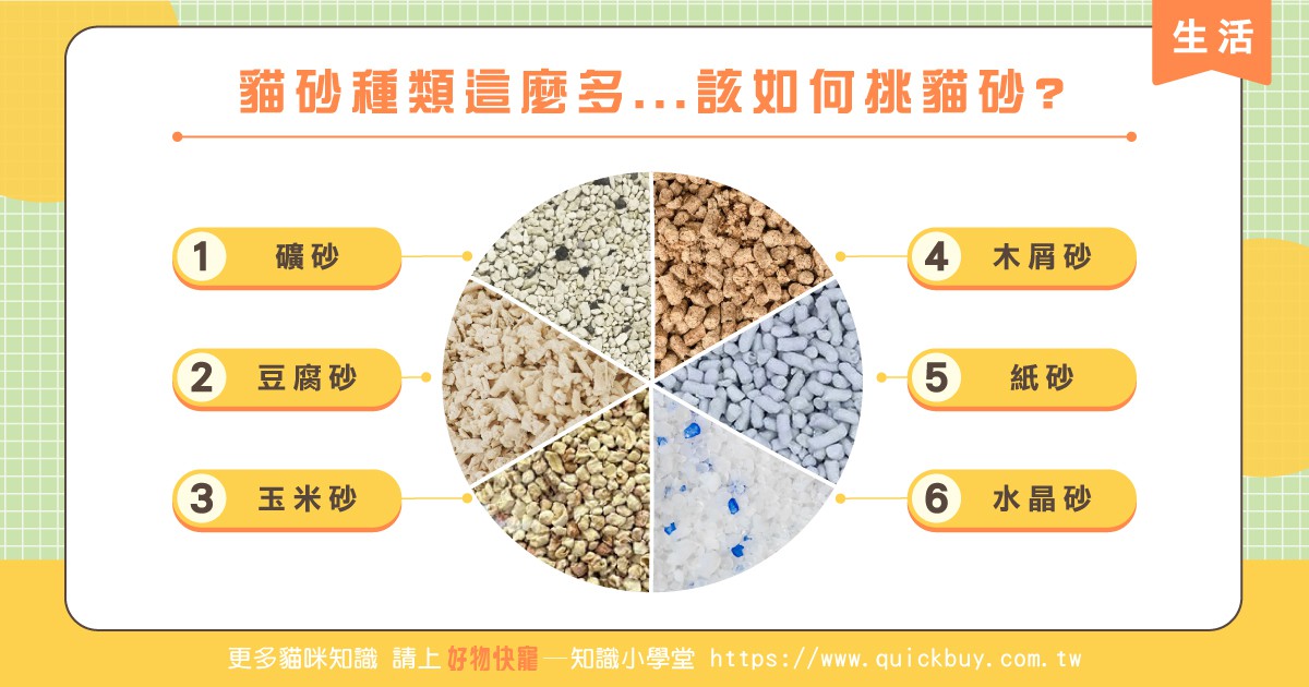 貓砂種類這麼多...該如何挑貓砂?