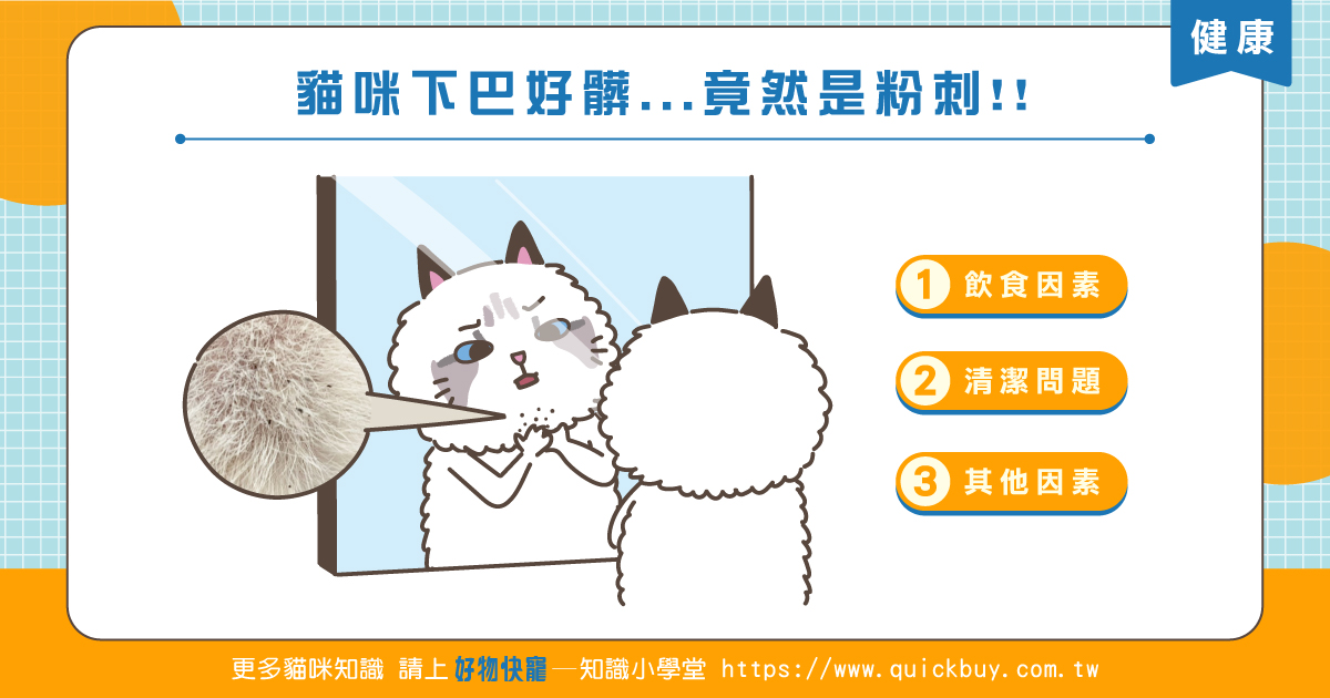 貓咪下巴髒髒的...竟然是粉刺!!