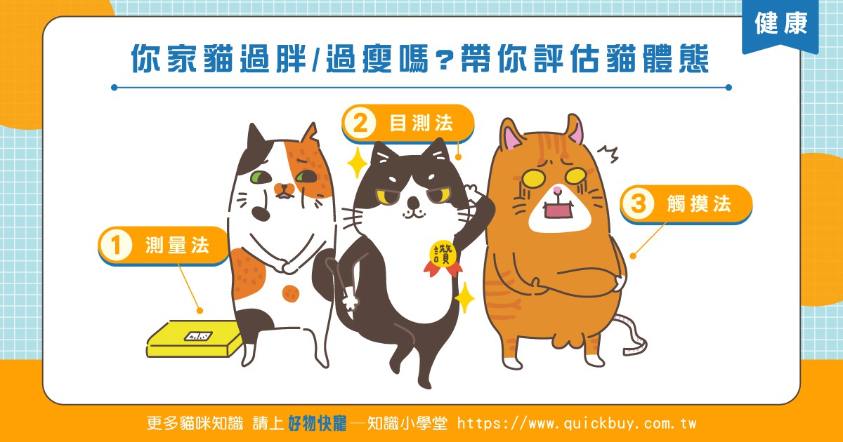 你家貓過胖/過瘦嗎?帶你評估貓體態