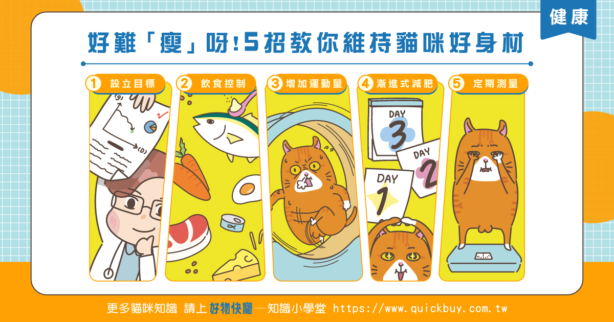 好難「瘦」呀~~!5招教你維持貓咪好身材