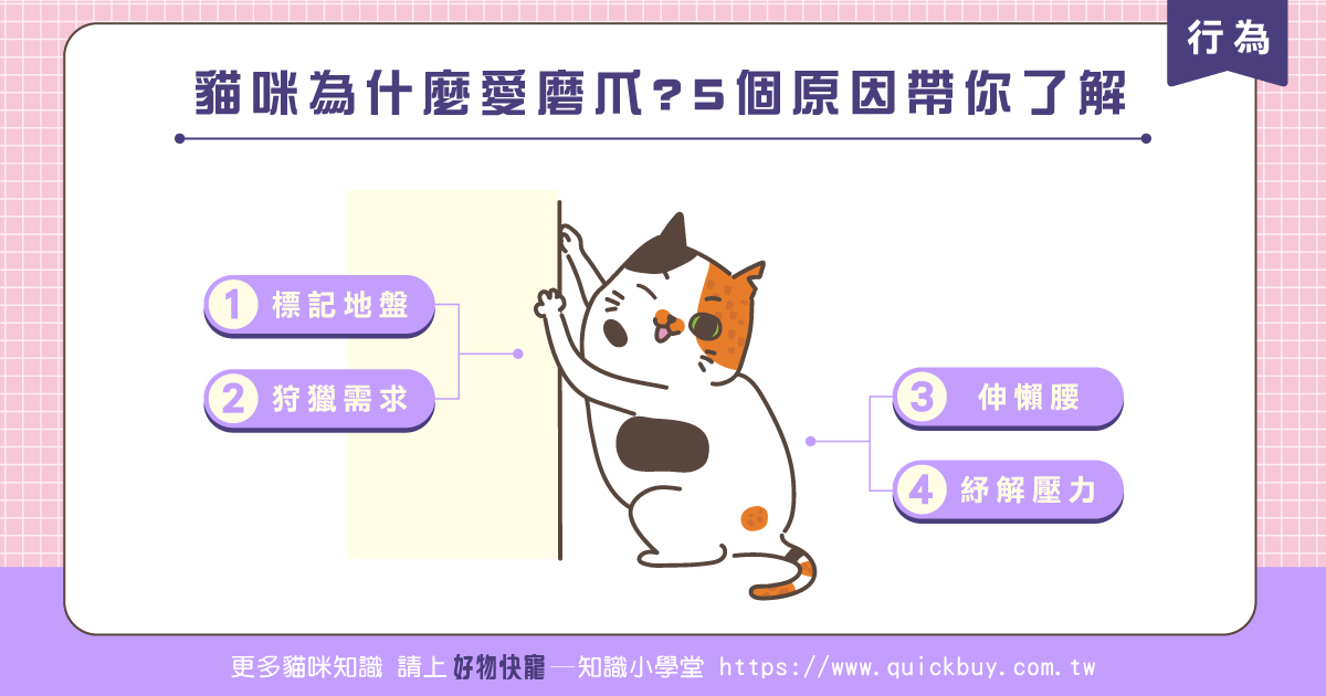 貓咪為什麼磨爪爪? 5個原因帶你了解!