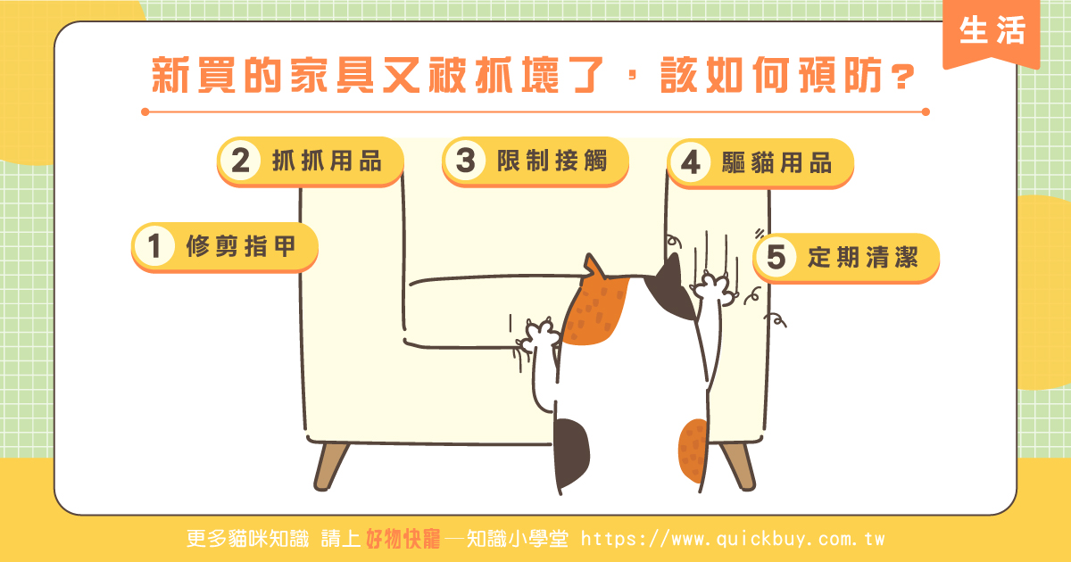 崩潰~新買的家具又被貓咪抓壞了，如何預防?
