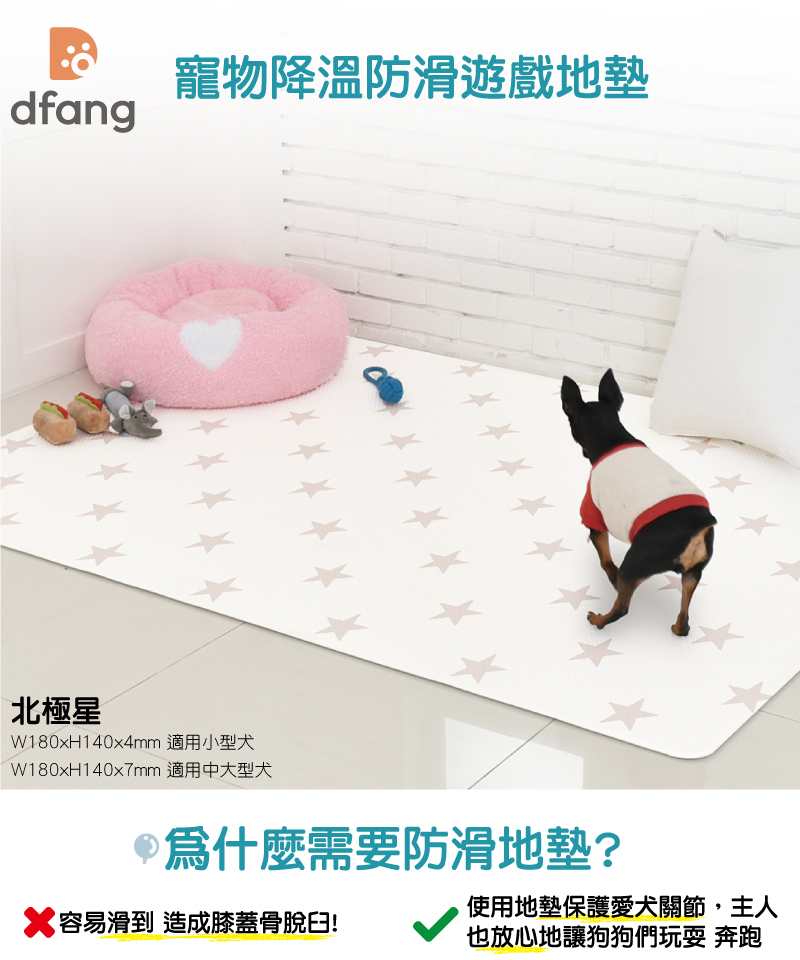 韓國製 dfang 迪邦 寵物降溫遊戲地墊-北極星 (耐刮靜音)