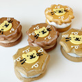 波獅生乳銅鑼燒9入禮盒(綜合口味)_1