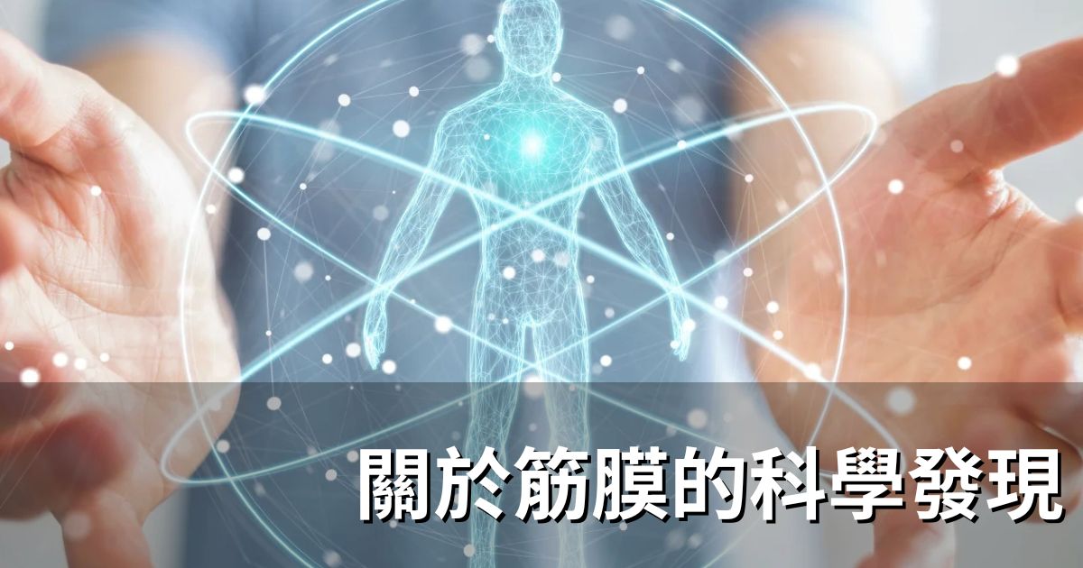 關於筋膜的科學發現