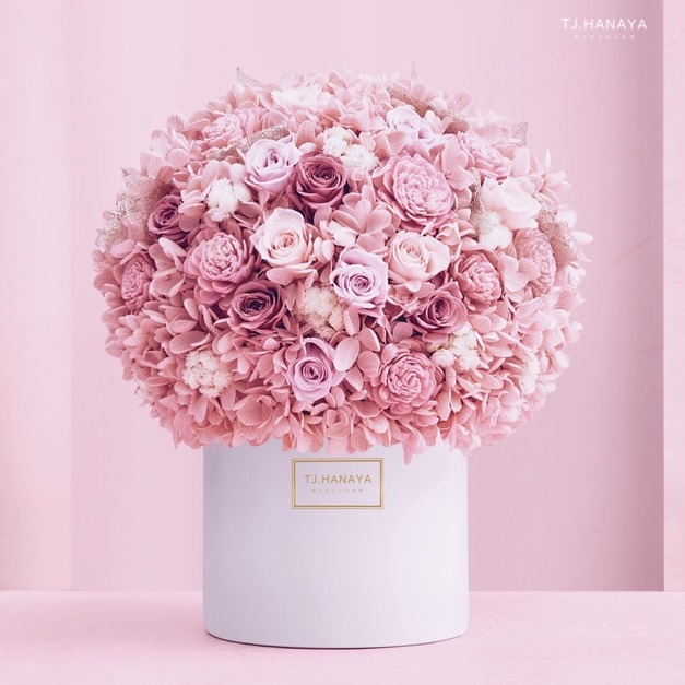 永生夢幻盆花＃春櫻彩粉