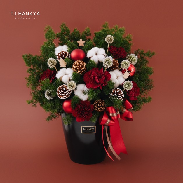聖 誕 鮮 花 盆 花＃大