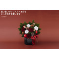 聖 誕 鮮 花 盆 花＃小_5