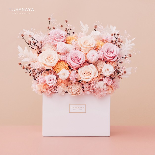 永生長型盆花＃日光橙