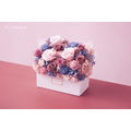 永生長型盆花＃藍莓粉_1