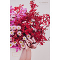 鮮 花 設 計 盆 花 # FL044_2