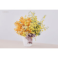 鮮 花 設 計 盆 花 # FL077_5