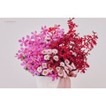 鮮 花 設 計 盆 花 # FL044_1