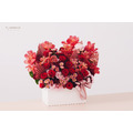 鮮 花 設 計 盆 花 # FL017_2