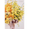 鮮 花 設 計 盆 花 # FL077_2