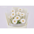 鮮 花 白 太 陽 花 束 # FB029_3