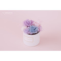 永生康乃馨小圓禮盒＃藍紫_2