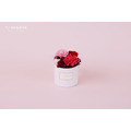 永生康乃馨小圓禮盒＃紅粉_1