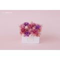 永生康乃馨迷你盆花_1