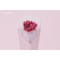 單朵永生康乃馨＃粉_1