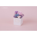 永生康乃馨大方禮盒＃藍紫_1
