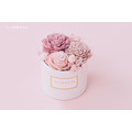 永生索拉小盆花＃粉_1