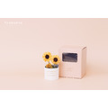 索拉向日葵迷你盆花禮盒_5
