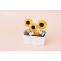 索拉向日葵長盆花禮盒_2