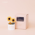索拉向日葵迷你盆花禮盒
