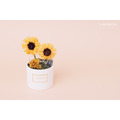索拉向日葵迷你盆花禮盒_2