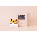 索拉向日葵長盆花禮盒_5