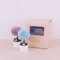 雙盆小樹禮盒組