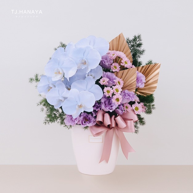 鮮 花 設 計 盆 花 # FL053