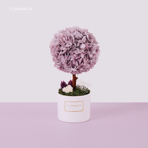 永生繡球小樹＃紫