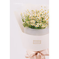 鮮 花 洋 甘 菊 花 束 # FB038_4