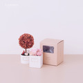大方小樹禮盒組