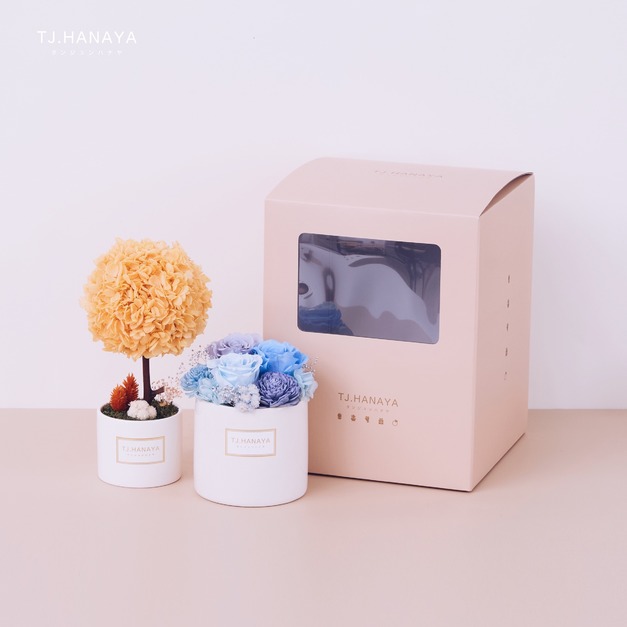 大圓小樹禮盒組