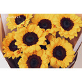 鮮 花 向 日 葵 花 束 # FB019_5