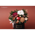永 生 聖 誕 盆 花＃黑_2