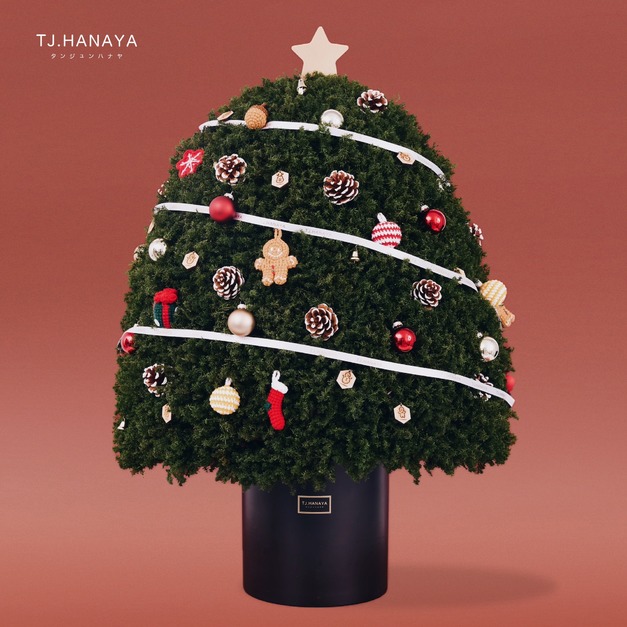 永 生 雪 松 聖 誕 樹＃特