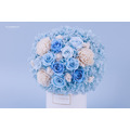 永生玫瑰盆花＃天藍玫瑰_3