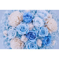 永生玫瑰盆花＃天藍玫瑰_6