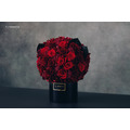 永生限定盆花＃紅心皇后_4